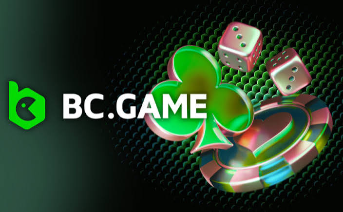 Discover the Fun at Corgibet Casino A Gamer's Paradise