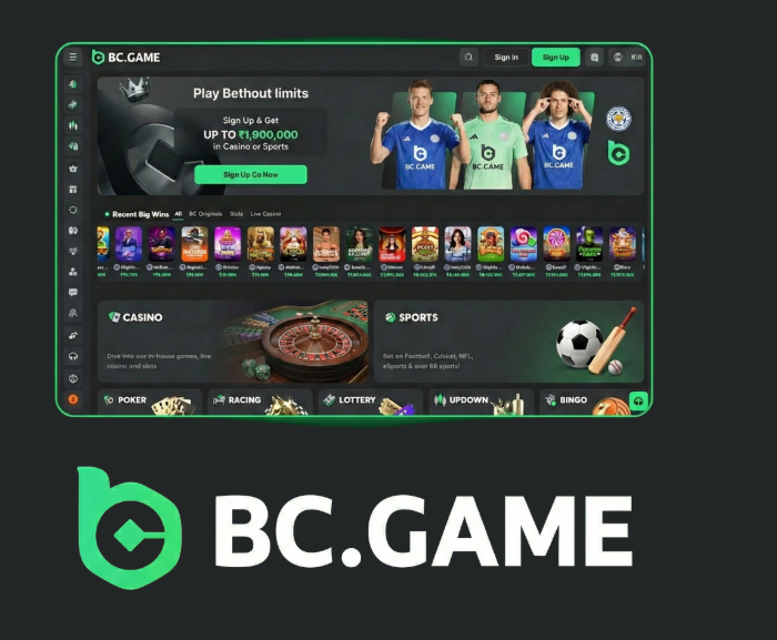 Explore the Excitement of BC.Game Casino and Sportsbook Explore the Excitement of BC.Game Casino and Sportsbook
